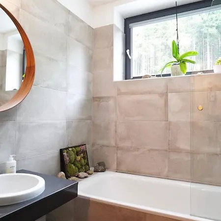 Апартаменты Skog Duplex *